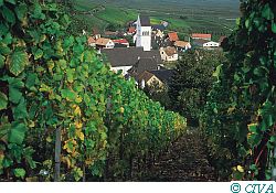 alsace1
