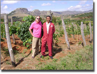 Vignoble de Madagascar
