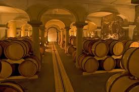 Cave à vin
