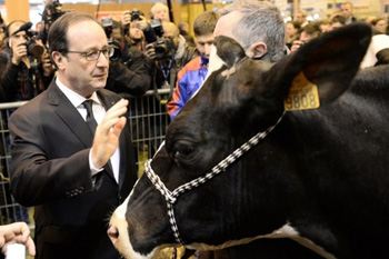 Hollande