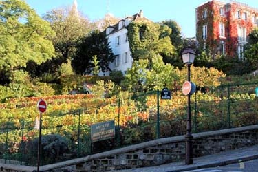 Clos Montmartre